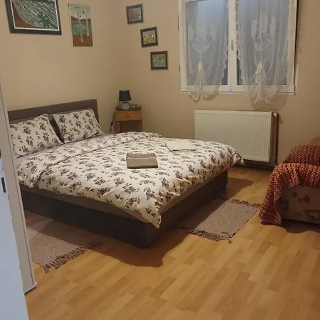 Mega Apartment Subotica